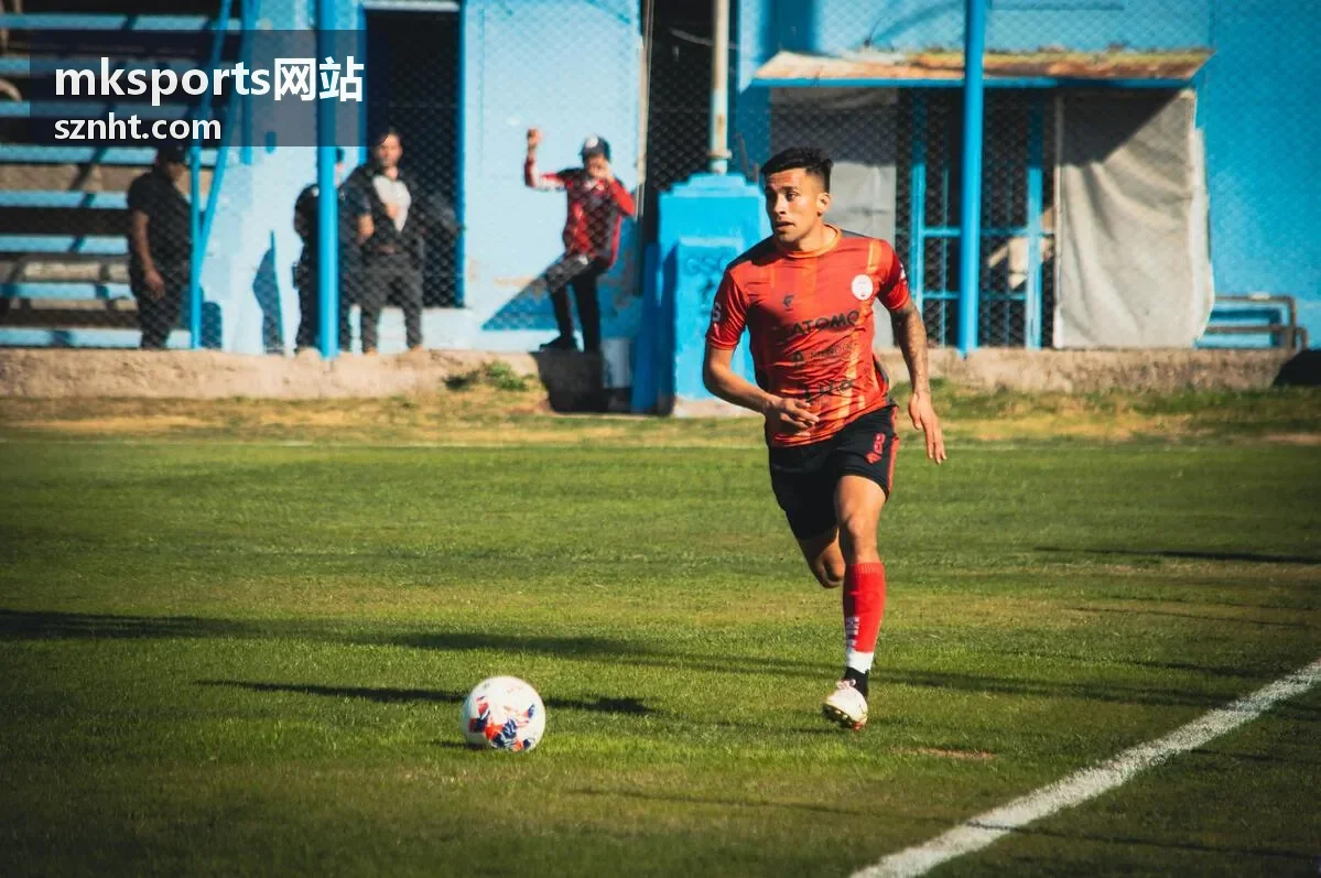 mksports网站数据分析看板中的赛事数据整理界面